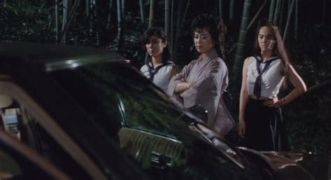 Nusumidori: Hakui no waisetsu (1985) film online,Sakae Nitta,Yukijirô Hotaru